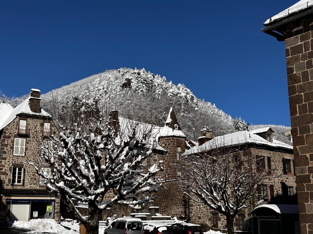 Belle Maison De Ville Au Coeur Du Village De Montagne Вик-сюр-Сер Экстерьер фото