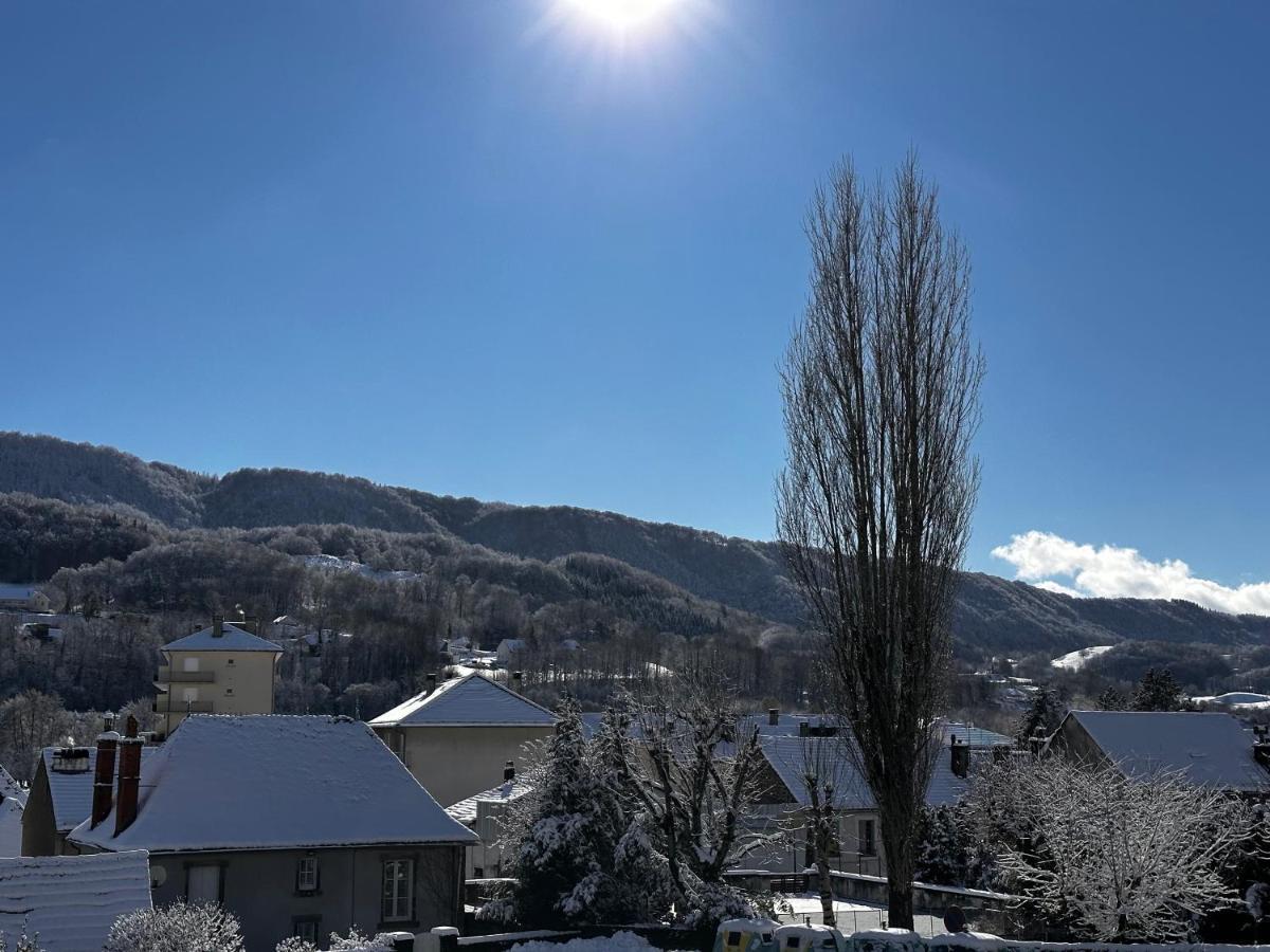 Belle Maison De Ville Au Coeur Du Village De Montagne Вик-сюр-Сер Экстерьер фото